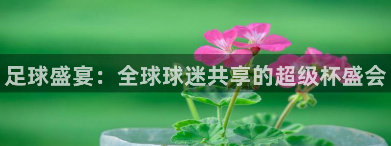 足球盛宴：全球球迷共享的超级杯盛会