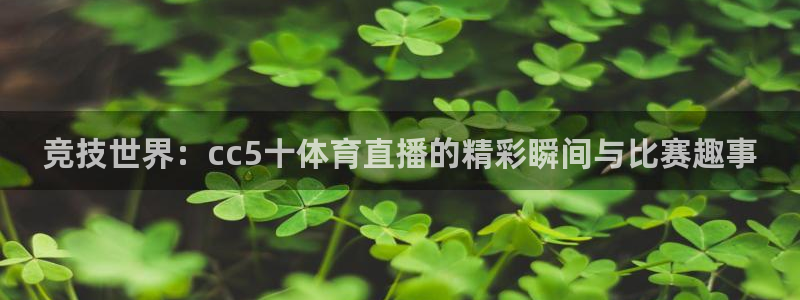 竞技世界：cc5十体育直播的精彩瞬间与比赛趣事