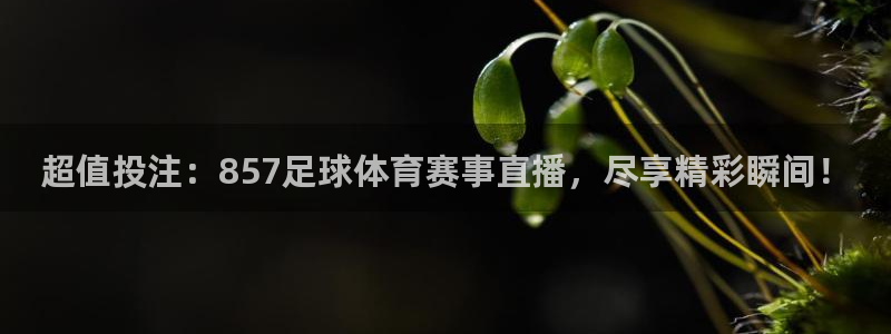 超值投注：857足球体育赛事直播，尽享精彩瞬间！
