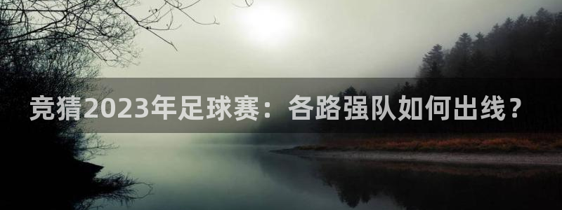 竞猜2023年足球赛：各路强队如何出线？