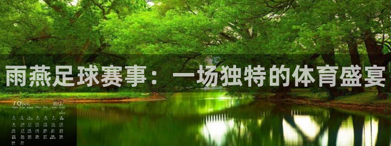 雨燕足球赛事：一场独特的体育盛宴
