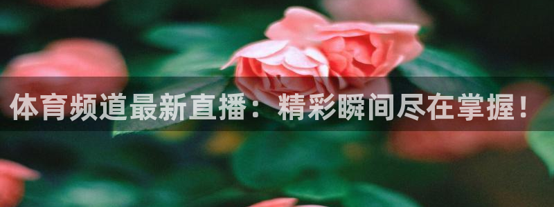 体育频道最新直播：精彩瞬间尽在掌握！