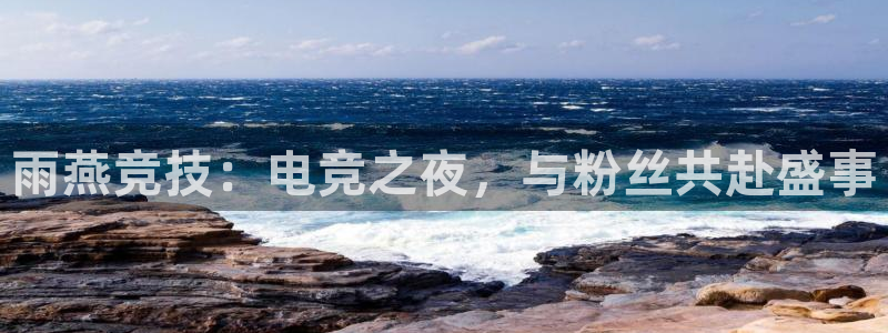 雨燕竞技：电竞之夜，与粉丝共赴盛事