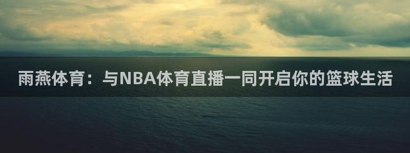 雨燕体育：与NBA体育直播一同开启你的篮球生活