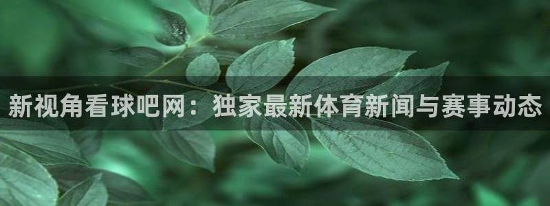 新视角看球吧网：独家最新体育新闻与赛事动态
