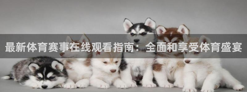 最新体育赛事在线观看指南：全面和享受体育盛宴