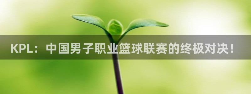 KPL：中国男子职业篮球联赛的终极对决！
