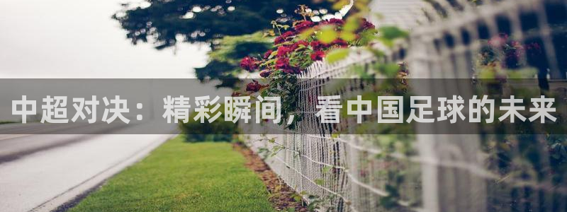 中超对决：精彩瞬间，看中国足球的未来