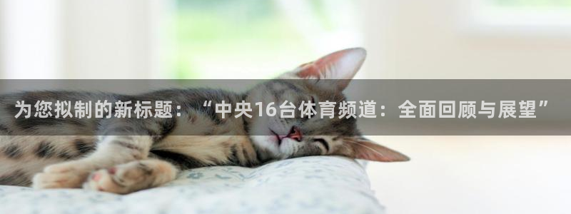 为您拟制的新标题：“中央16台体育频道：全面回顾与展望”