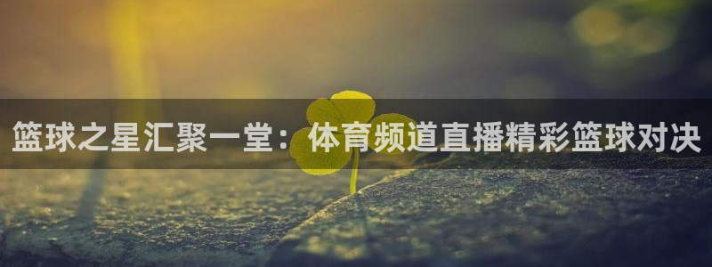 篮球之星汇聚一堂：体育频道直播精彩篮球对决