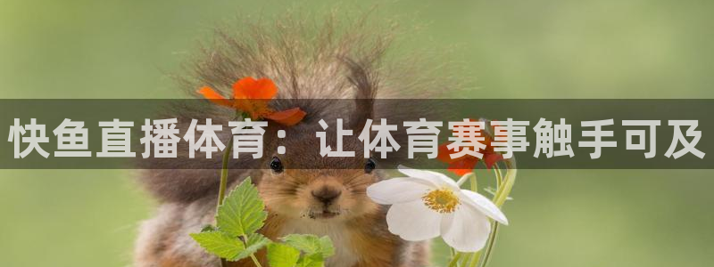 快鱼直播体育：让体育赛事触手可及