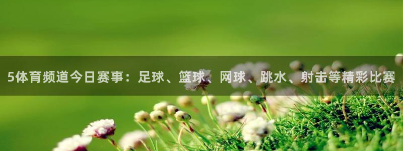 5体育频道今日赛事：足球、篮球、网球、跳水、射击等精彩比赛