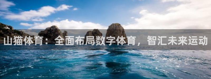 山猫体育：全面布局数字体育，智汇未来运动