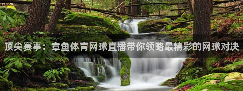 顶尖赛事：章鱼体育网球直播带你领略最精彩的网球对决
