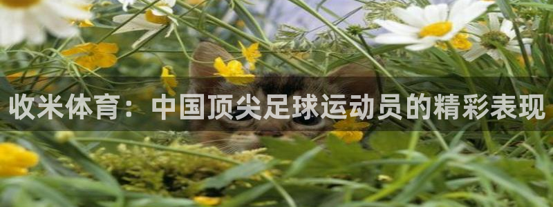 收米体育：中国顶尖足球运动员的精彩表现