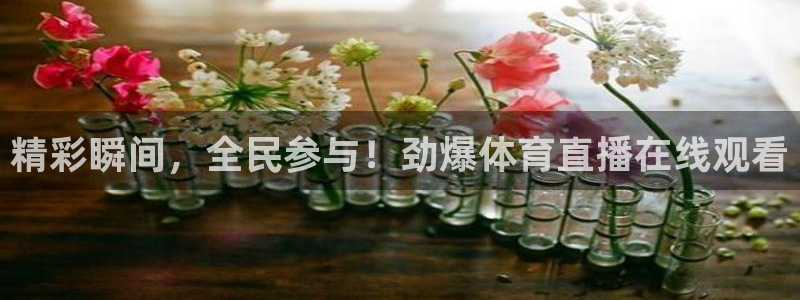 精彩瞬间，全民参与！劲爆体育直播在线观看