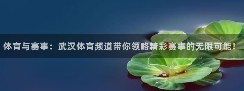 体育与赛事：武汉体育频道带你领略精彩赛事的无限可能！