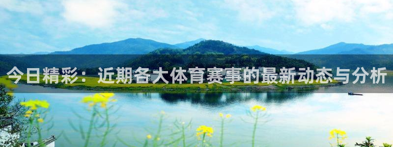 今日精彩：近期各大体育赛事的最新动态与分析