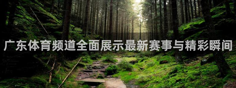 广东体育频道全面展示最新赛事与精彩瞬间