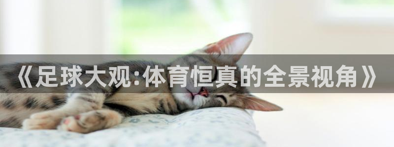 《足球大观:体育恒真的全景视角》
