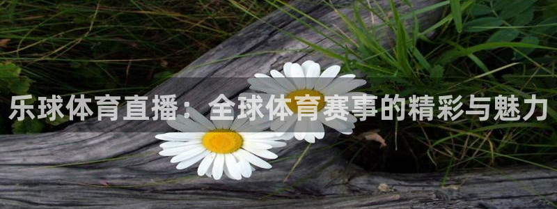 乐球体育直播：全球体育赛事的精彩与魅力
