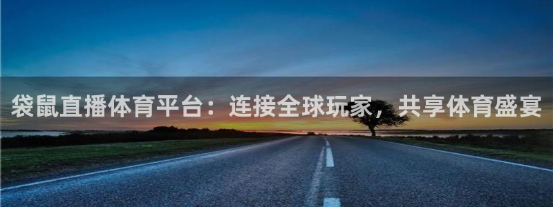 袋鼠直播体育平台：连接全球玩家，共享体育盛宴
