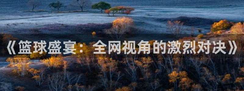 《篮球盛宴：全网视角的激烈对决》