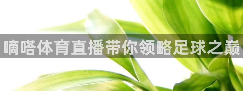 嘀嗒体育直播带你领略足球之巅