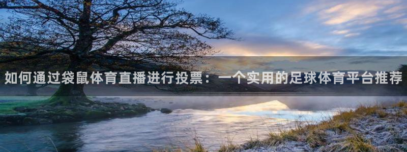 如何通过袋鼠体育直播进行投票：一个实用的足球体育平台推荐