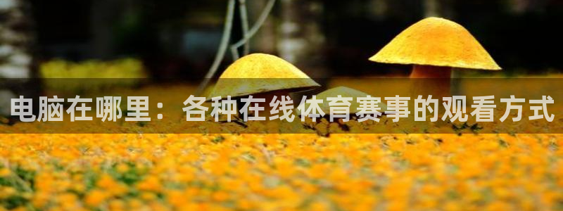 电脑在哪里：各种在线体育赛事的观看方式