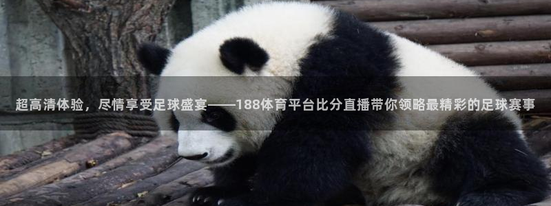 超高清体验，尽情享受足球盛宴——188体育平台比分直播带你领略最精彩的足球赛事