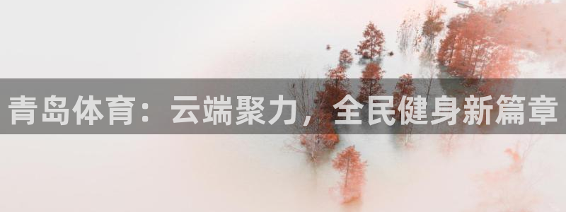 青岛体育：云端聚力，全民健身新篇章