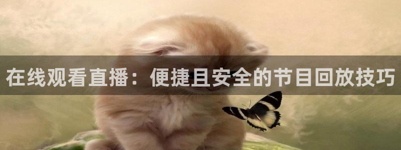 在线观看直播：便捷且安全的节目回放技巧