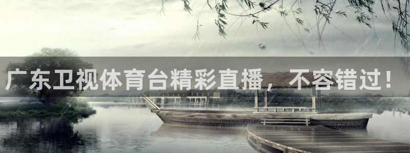 广东卫视体育台精彩直播，不容错过！