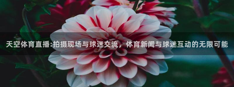 天空体育直播:拍摄现场与球迷交流，体育新闻与球迷互动的无限可能