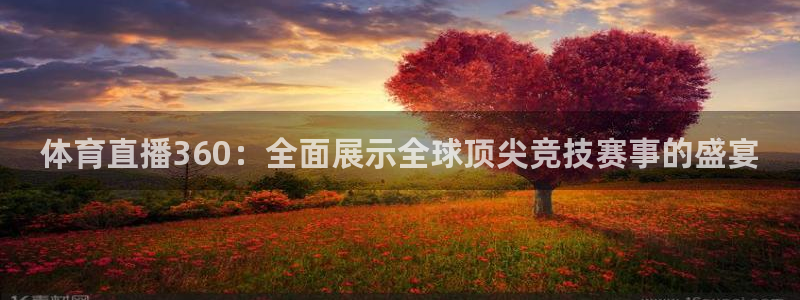 体育直播360：全面展示全球顶尖竞技赛事的盛宴