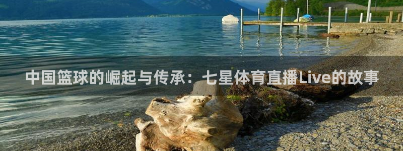 中国篮球的崛起与传承：七星体育直播Live的故事