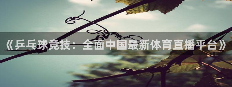 《乒乓球竞技：全面中国最新体育直播平台》