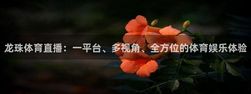 龙珠体育直播：一平台、多视角、全方位的体育娱乐体验