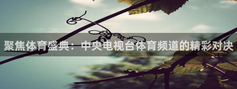 聚焦体育盛典：中央电视台体育频道的精彩对决